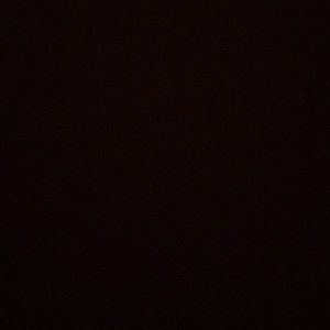 Meet your Posher, Hollie